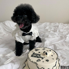 Loookus - Spring summer plaid dog shirt suspender skirt set, houndstooth cat dress