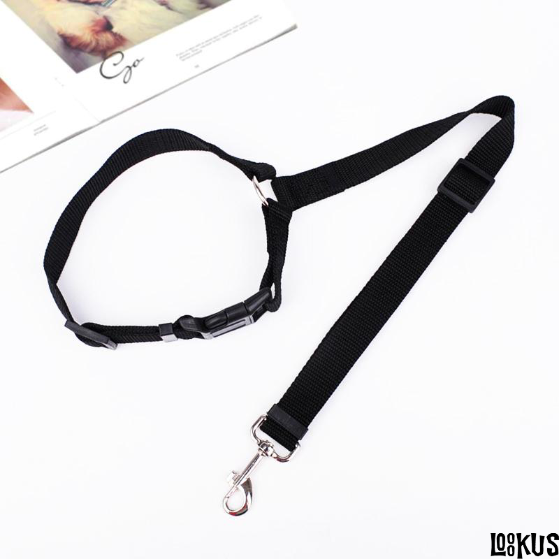 Loookus - Adjustable Car Dog Leash