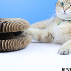 Loookus - New Corrugated Cat Scratcher Toy