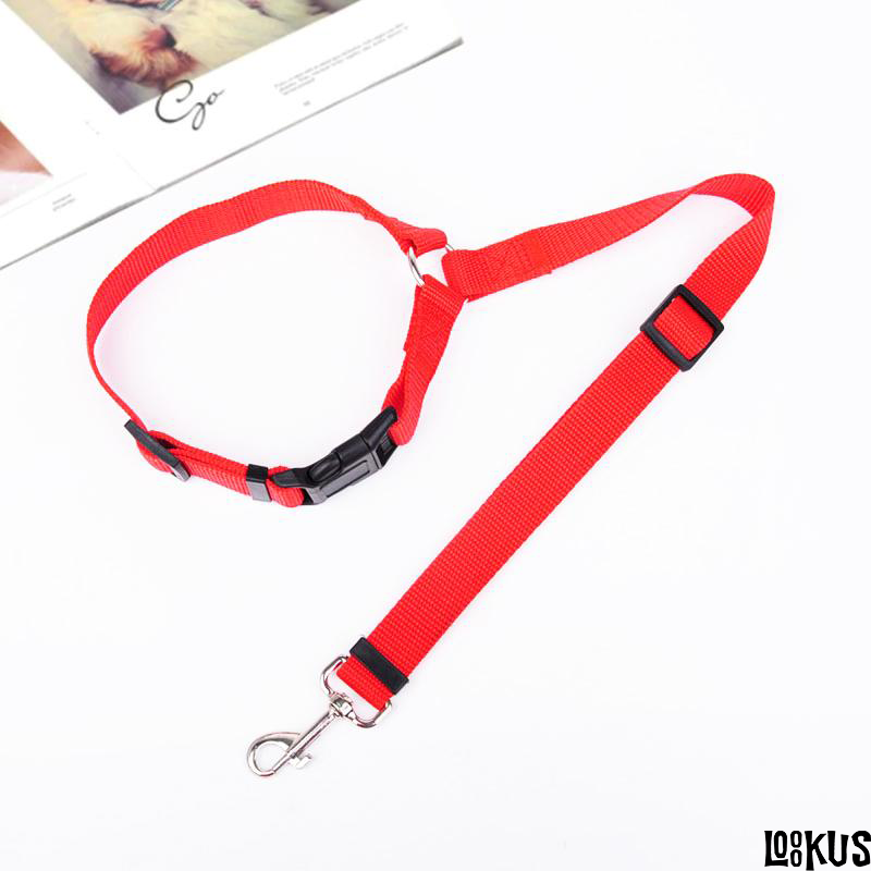 Loookus - Adjustable Car Dog Leash