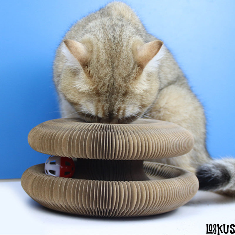 Loookus - New Corrugated Cat Scratcher Toy