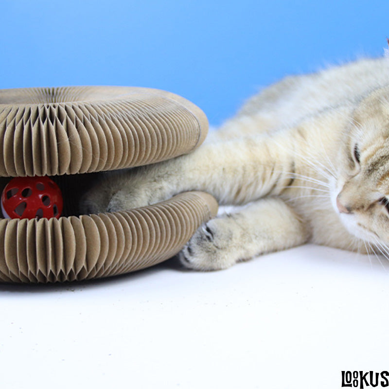 Loookus - New Corrugated Cat Scratcher Toy