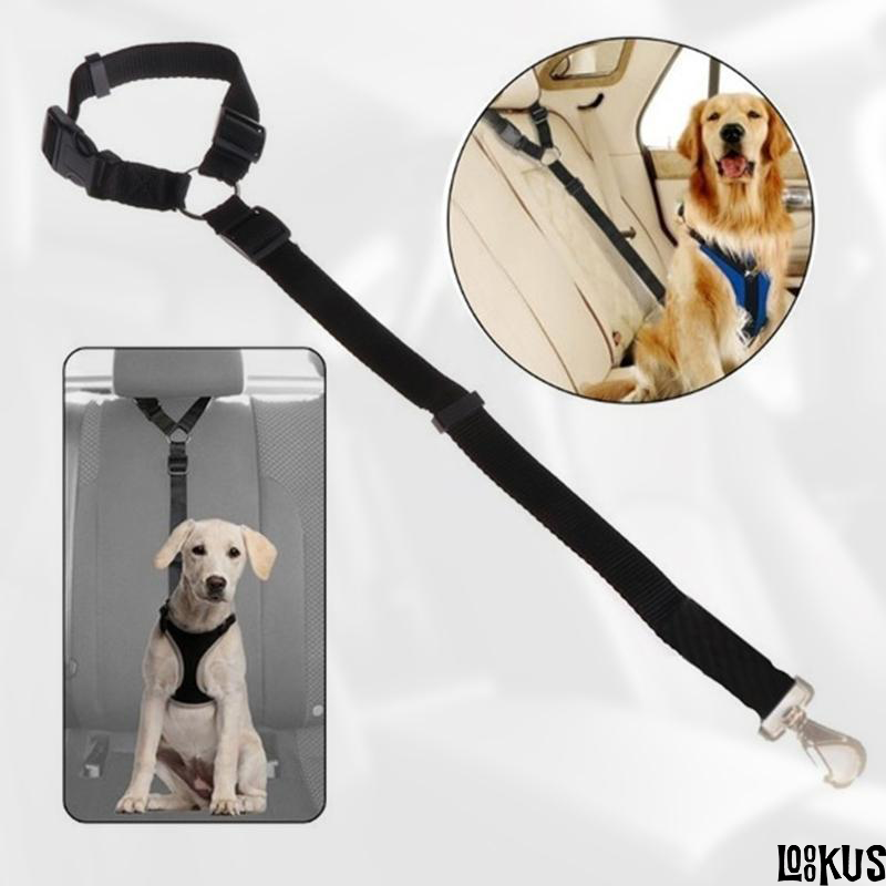 Loookus - Adjustable Car Dog Leash