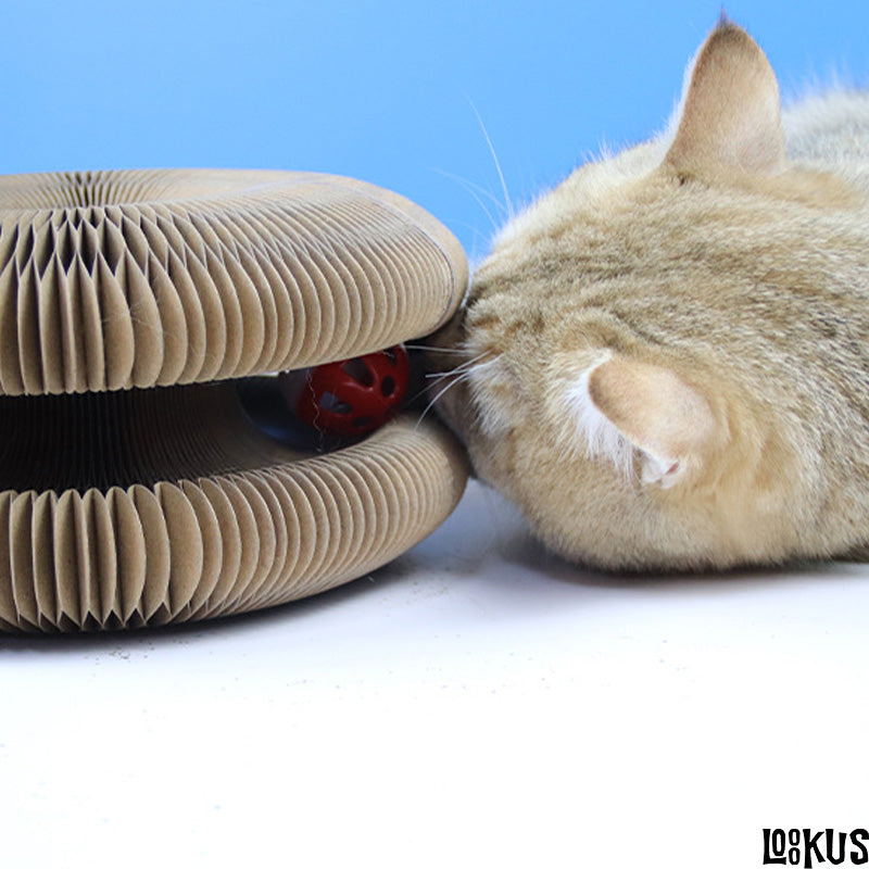 Loookus - New Corrugated Cat Scratcher Toy