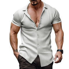 Loookus - Men's Fashion Casual Vertical Stripe Short Sleeve Lapel Top