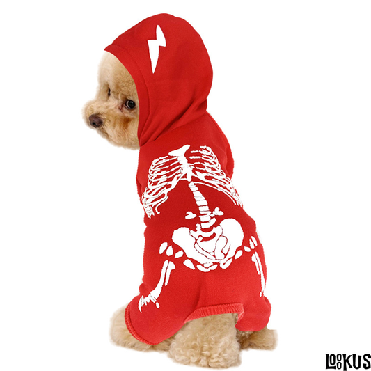 Loookus - Halloween Pumpkin Costume for Cats and Dogs-C