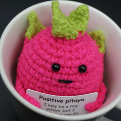 Crochet Positive Pitaya