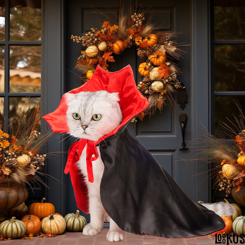 Loookus - Halloween Pumpkin Costume for Cats and Dogs-B