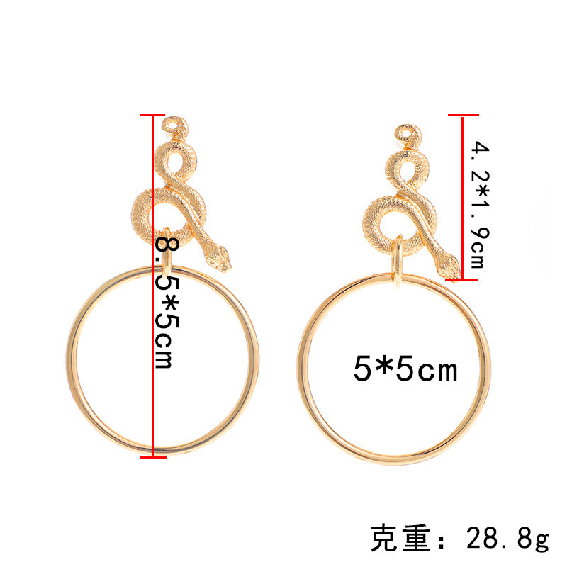 Loookus - Circle Geometric Snake Earrings