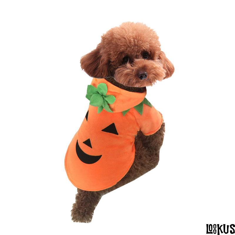 Loookus - Halloween Pumpkin Costume for Cats and Dogs-A